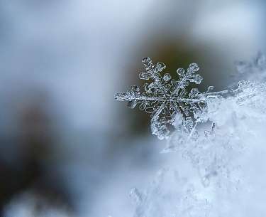 Winter Winter