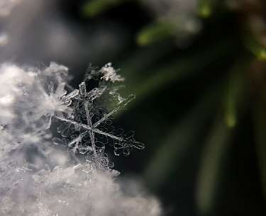 Schneeflocken Schneeflocken