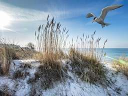 Winter Nordsee Winter Nordsee
