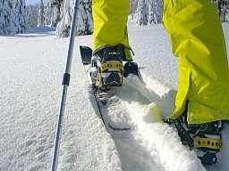 Wintersport Wintersport