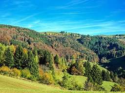 Schwarzwald Blick auf den Schwarzwald