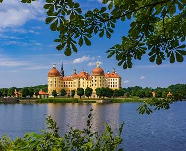 Moritzburg Blick auf die Moritzburg von einem See aus