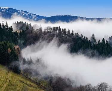Schwarzwald Blick auf den Schwarzwald mit aufsteigendem Nebel