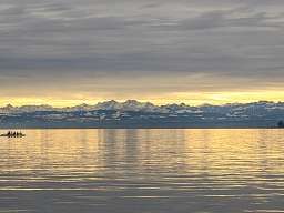 Bodensee Blick auf den Bodensee