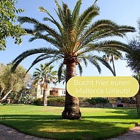 Bucht hier euren Mallorca Urlaub