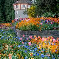 Insel Mainau Insel Mainau