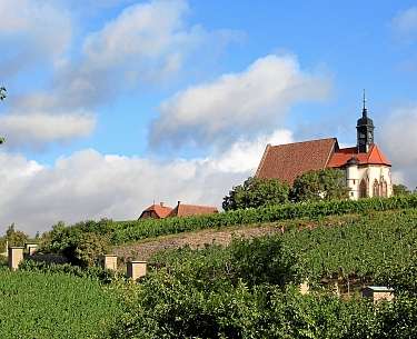 Maria im Weingarten Blick auf Maria im Weingarten
