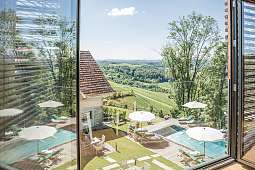 Pool Vogel 4 Kopie 2 Pool Vogel 4 Kopie 2