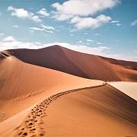 Sossusvlei Photo Anna Heupel Kopie