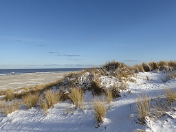  Winter Strand