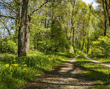 Wanderweg Wanderweg