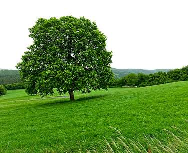 Westerwald Westerwald