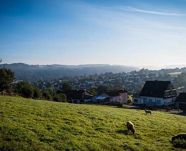 sauerland sauerland