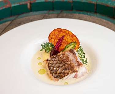 Beef tartar Beef tartar