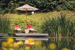 Romantik Wellnesshotel Deimann_Pool  Romantik Wellnesshotel Deimann_Pool