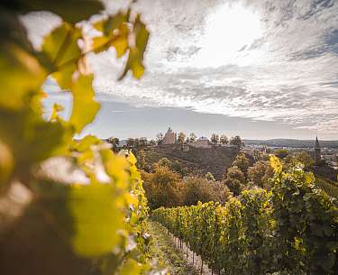 Saar Wein Saar Wein