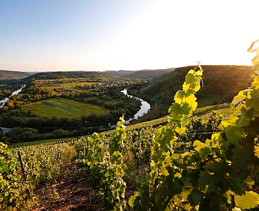 Saarbogen Elke Janssen