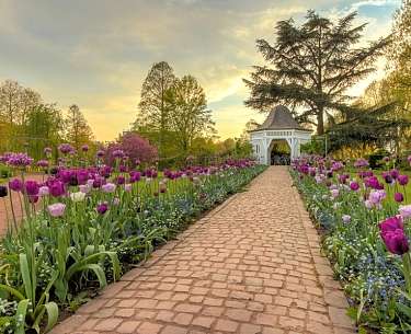 Rosengarten in Zweibrücken Rosengarten in Zweibrücken