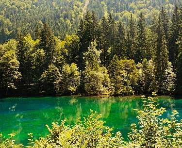 Wiese Berge Sommer Wiese Berge Sommer