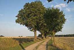 Mecklenburgische Seenplatte Mecklenburgische Seenplatte