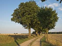 Mecklenburgische Seenplatte