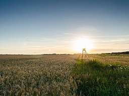 Mecklenburgische Seenplatte