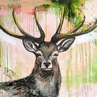 Hirsch-Art.de Hirsch-Art.de