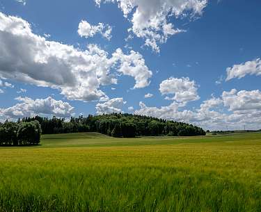 Ein Herz fuer die Region Ein Herz fuer die Region