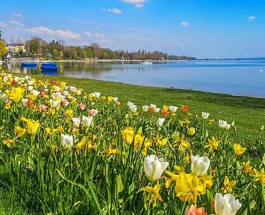 Bodensee Bodensee