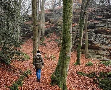 Wandern Wandern