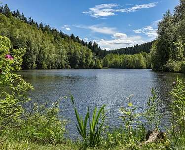 Roesper Weiher im Juni Landhotel Doerr 3 Roesper Weiher im Juni Landhotel Doerr 3