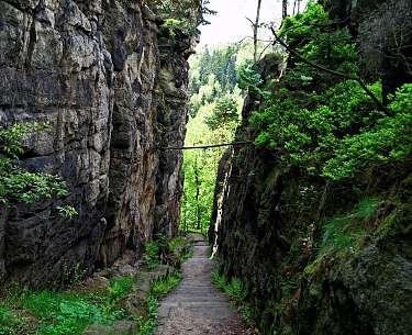 Felsen Zittauer Gebirge Felsen Zittauer Gebirge