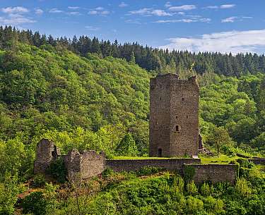 Burg 