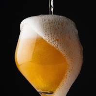 Bier Bier