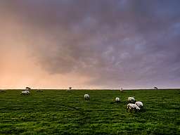 Romantik Hotel Reichshof Romantik Hotel Reichshof