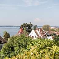 Natur des Bodensees von Meersburg, einer Stadt in Baden-Württemberg in Deutschland am Bodensee.