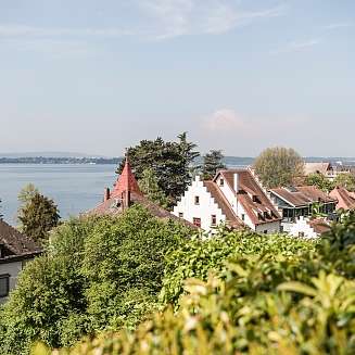 Natur des Bodensees von Meersburg, einer Stadt in Baden-Württemberg in Deutschland am Bodensee.