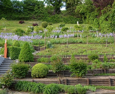 C Hannes Niederkofler HQ 4435