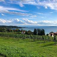 Bodensee 