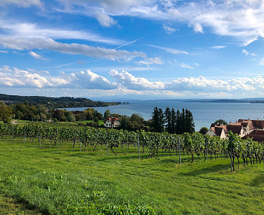 Der Bodensee Der Bodensee