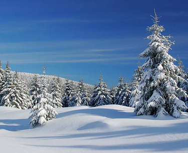 Winterlandschaft Winterlandschaft