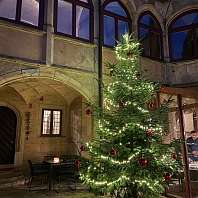 Weihnachtsbaum feierlich dekoriert