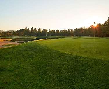Golf Golf
