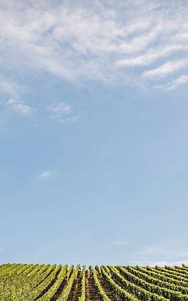 C Hannes Niederkofler HQ 9224