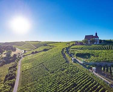 Ratsherr Blick auf den Weinhang Volkacher Ratsherr