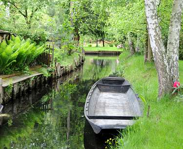 Spreewald