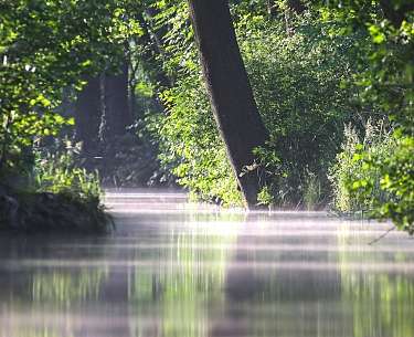 Spreewald