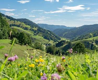Obertal Obertal