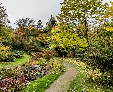 Botanical Garden of the University of Osnabrück Botanical Garden of the University of Osnabrück