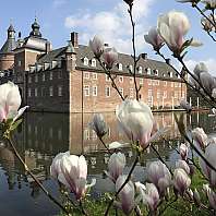 Wasserburg Anholt